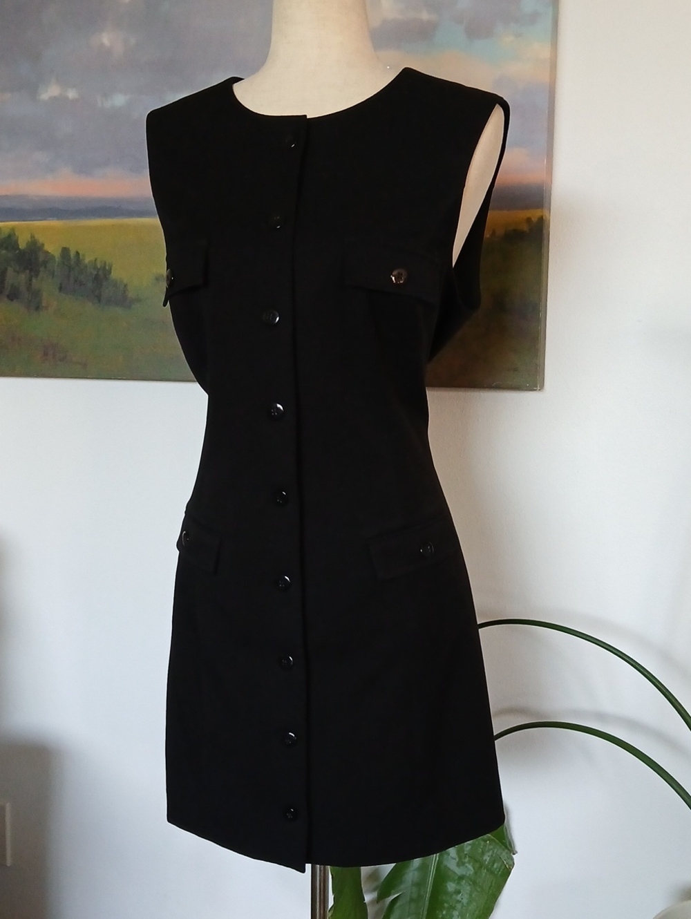 Wayf Black Sleeveless Button-Front Mini Dress L